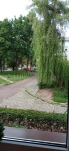 Vonkajšia záhrada v ubytovaní APARTAMENT FOCHA + 2 fotografie