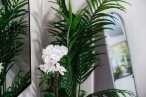 Fotografie z fotogalerie ubytování Florissa - by MyHomeInComo v destinaci Blevio
