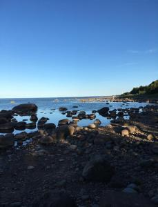 un grupo de rocas en una playa con el agua en Kaltenes Liepziedi, en Roja