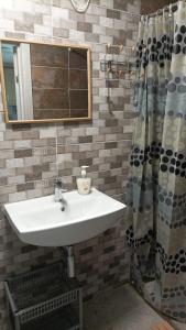 een badkamer met een wastafel en een spiegel bij Kaltenes Liepziedi in Roja