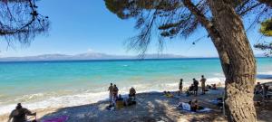 a group of people standing on the beach at Oropos Memories House in Skala Oropou