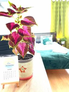 a plant in a pot on a table in a bedroom at Studio przy Starówce in Olsztyn