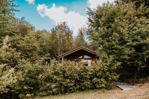 una cabaña en el bosque con árboles en Romantické ubytovanie pre dvoch v lese en Banská Bystrica