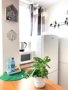 a kitchen with a white refrigerator and a plant at Studio przy Starówce in Olsztyn