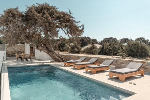 - une piscine avec des chaises longues et un arbre dans l'établissement Ammolofos Luxury Apartment & suites, à Naxos Chora
