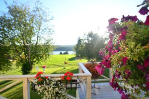 Zahrada ubytování Villa Sisu