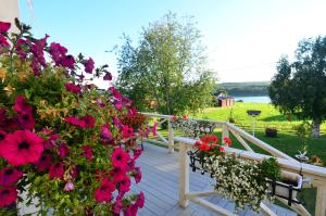 Zahrada ubytování Villa Sisu