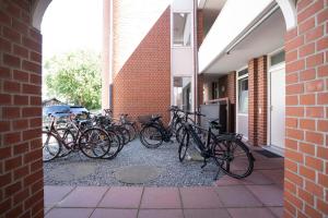 - un groupe de vélos garés à côté d'un bâtiment dans l'établissement Haus Seeblick Wohnung A6, à Kellenhusen
