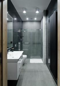 y baño con lavabo, aseo y ducha. en Apartamenty Dworcowa 60, en Gliwice