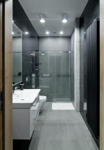 a bathroom with a sink and a toilet and a shower at Apartamenty Dworcowa 60 in Gliwice +65 photos