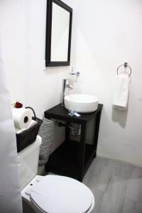 a bathroom with a white toilet and a sink at Loft Hermoso con Jacuzzi in Villahermosa