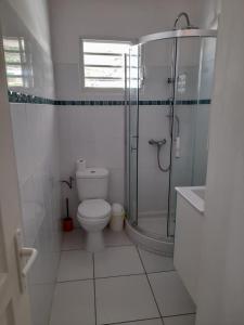 a bathroom with a shower and a toilet and a sink at Paradyse Den's près Sources d'Eau Chaudes , Paisible , Vue sur mer , WIFI in Bouillante