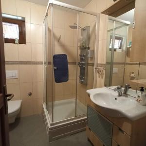 a bathroom with a shower and a sink at Alexandar Holiday Apartments and Cottage in Rudanovac