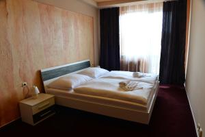 Gallery image of Hotel Ďumbier in Brezno