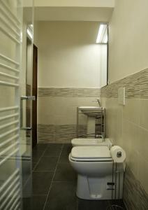 ein Badezimmer mit einem weißen WC und einem Spiegel in der Unterkunft Casa di Canfreo in Lari