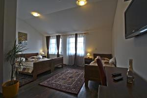 TV a/nebo společenská místnost v ubytování Hotel Lug