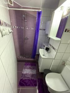 a bathroom with a toilet and a shower with a purple shower curtain at Beatrice in Orşova