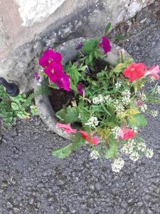 a flower pot with flowers in it on the ground at The Hayloft in Hartington