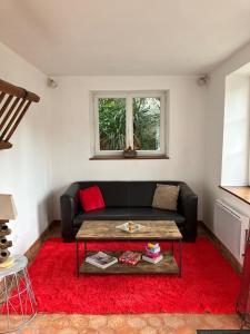 a living room with a black couch and a red rug at La petite maison de la vallée in Bazainville