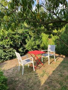dos sillas y una mesa roja en el césped en La petite maison de la vallée, en Bazainville