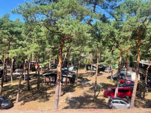 grupa namiotów w lesie z zaparkowanymi samochodami w obiekcie Terimex w Pogorzelicy
