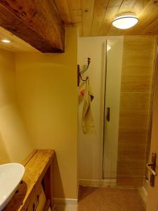 een badkamer met een douche en een wastafel bij Gîte 11 personnes avec extérieur in Saint-Maurice-de-Rotherens