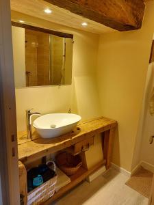 een badkamer met een wastafel en een spiegel bij Gîte 11 personnes avec extérieur in Saint-Maurice-de-Rotherens