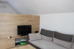 ein Wohnzimmer mit einem Sofa und einem Flachbild-TV in der Unterkunft Mariana Apartment in Bled