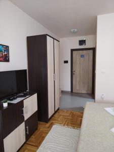 een slaapkamer met een bed, een televisie en een deur bij APARTMAN-STUDIO TEA SU in Subotica
