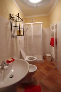 ein Bad mit einer Dusche, einem WC und einem Waschbecken in der Unterkunft Agriturismo Mulino del Castello Nasino in Nasino