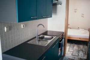 Η κουζίνα ή μικρή κουζίνα στο Anica +31 φωτογραφίες