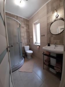 a bathroom with a shower and a toilet and a sink at Apartment BIANCA in Braşov