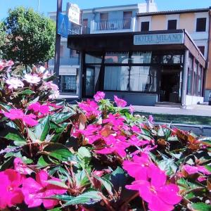 a bunch of pink flowers in front of a building at Hotel Milano San Giovanni Lupatoto in San Giovanni Lupatoto
