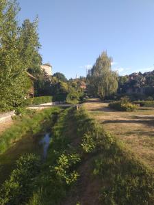 Príroda v okolí vily