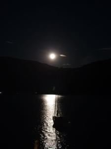 Náttúran í nágrenni sumarhússins