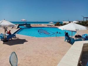 Stunning Beachfront Villa on North Coast Mediterranean في Dawwār Abū Maḩrūs: مسبح كبير مع وجود ناس في الماء