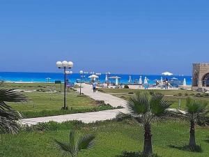 Stunning Beachfront Villa on North Coast Mediterranean في Dawwār Abū Maḩrūs: ممشى في حديقة بها نخل والشاطئ