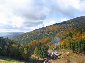 a house in the middle of a hill with trees at Pod Dębem in Jugów