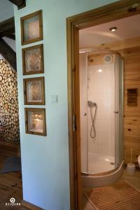 een badkamer met een douche en een glazen deur bij U Anuli in AdamÃ³w