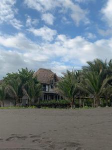 une maison sur la plage avec des palmiers devant elle dans l'établissement Cabo tortugas - casa, à Monterrico