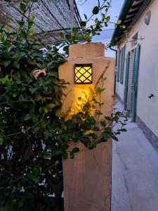 Fotografie z fotogalerie ubytování Rose Guest House v destinaci Pisa