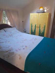 1 dormitorio con 1 cama y armario amarillo en Janet Hale Studios, Garden Apartment, en Glastonbury