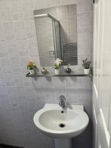 uma casa de banho com um lavatório e um espelho em Relaxing 2 Bedroom Garden Cottage em Coleraine
