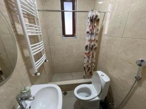 a bathroom with a toilet and a sink and a shower at Family Hotel 7 Sisters in Stepantsminda