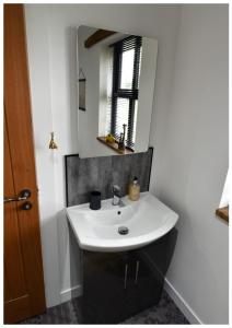 La salle de bains est pourvue d'un lavabo blanc et d'un miroir. dans l'établissement Mill House, à Portglenone