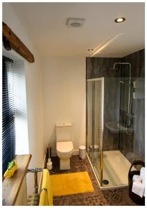 uma casa de banho com um chuveiro, um WC e um lavatório. em Mill House em Portglenone