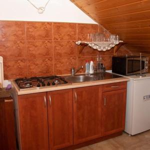 uma cozinha com um lavatório, um fogão e um micro-ondas em Guest House Ema em Crni Lug