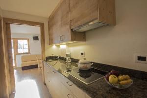 Kuchyňa alebo kuchynka v ubytovaní Apartements Precalalt