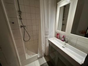 Łazienka w obiekcie Mon Palmier Grand Appartement Parking Un-Séjour-à-Part