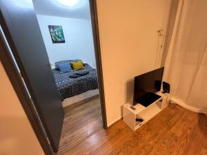 Telewizja i/lub zestaw kina domowego w obiekcie Mon Palmier Grand Appartement Parking Un-Séjour-à-Part